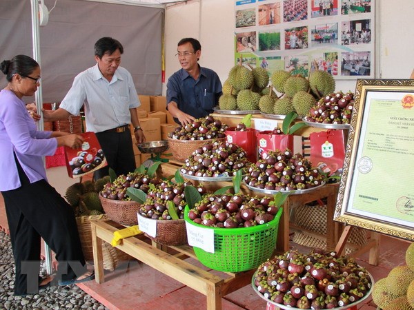 phat trien va giu vung thuong hieu dac san mang cut lai thieu