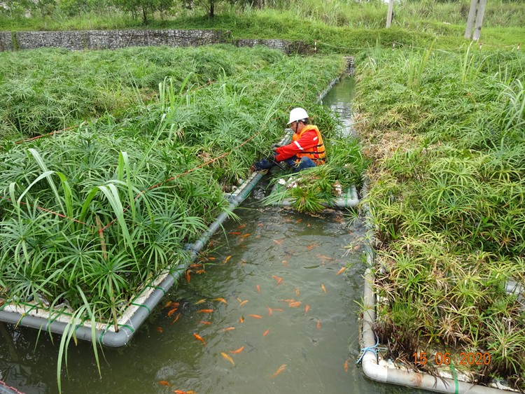 Masan High-Tech Materials: Bảo vệ môi trường và phát triển bền vững