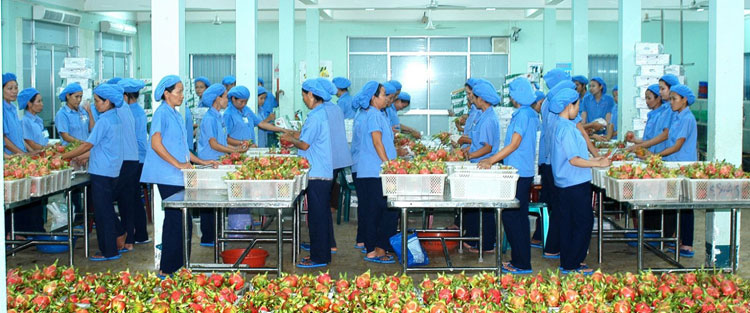 Sản xuất công nghiệp, thương mại 6 tháng cuối năm: Tận dụng tốt yếu tố thuận lợi