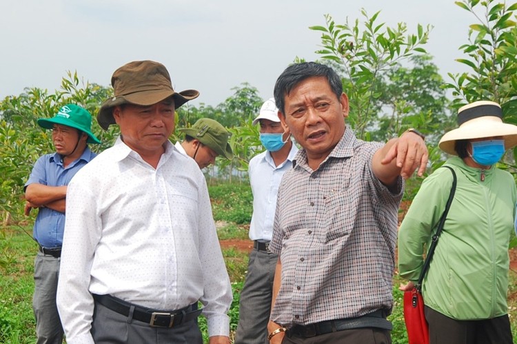 Đảng bộ Công ty cao su Mang Yang (Gia Lai) khẳng định vai trò lãnh đạo toàn diện