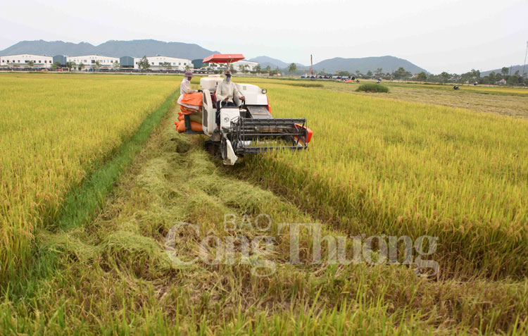 Về nơi khởi nguồn phong trào Cách mạng Xô Viết Nghệ Tĩnh