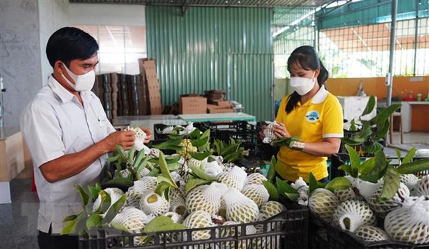 Xuat khau trai cay tuoi vao Trung Quoc thich ung voi quy dinh moi hinh anh 2