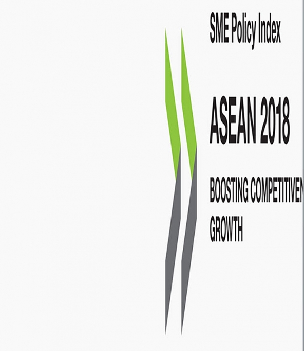 bao cao ve chi so chinh sach doanh nghiep nho va vua asean nam 2018