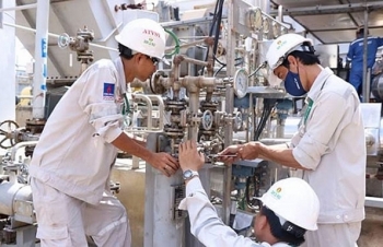 dam ca mau hoan thanh bao duong chi tra co tuc 900dcp