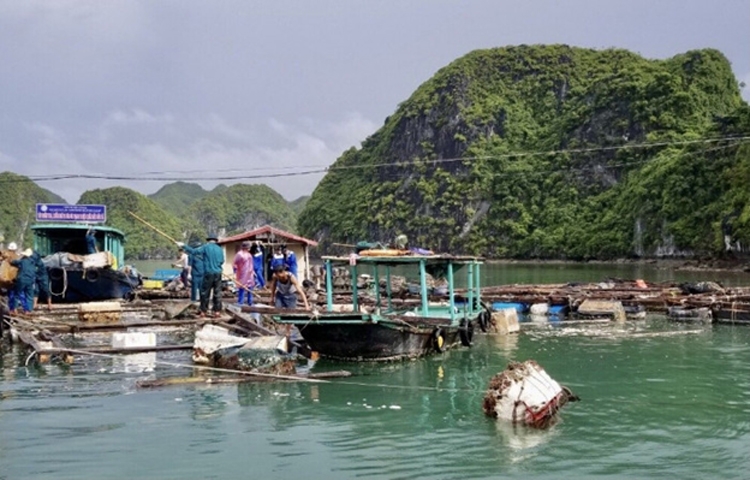 Hải Phòng: Bắt đầu tháo dỡ các cơ sở nuôi trồng thủy sản tại đảo Cát Bà