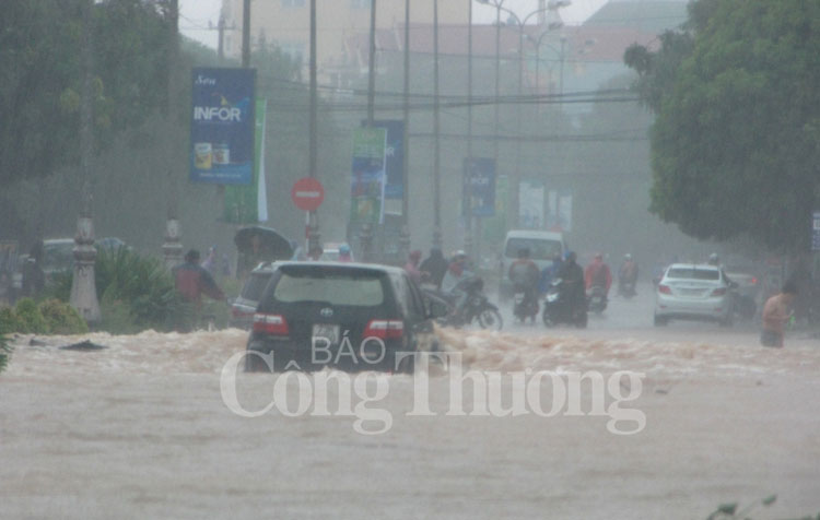 Quảng Bình: Gồng mình chống lũ