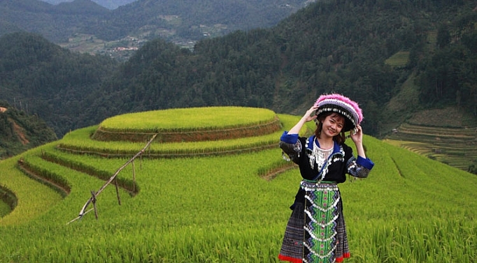 mua vang o mu cang chai