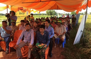 dam ca mau va vai tro quan trong trong doi voi nganh nong nghiep campuchia