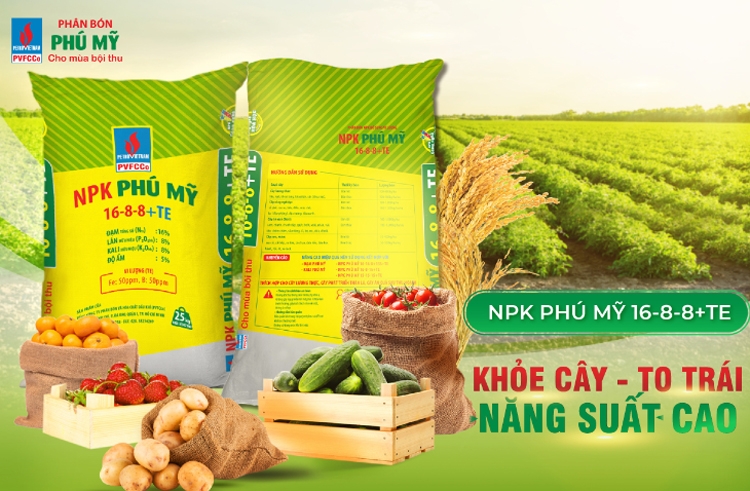 NPK Phú Mỹ năm 2021: Tăng trưởng vượt bậc