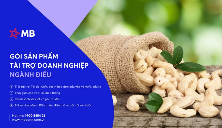 MB đồng hành tháo gỡ khó khăn cho doanh nghiệp gạo, điều