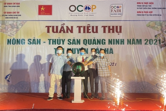 Lời giải cho “bài toán” tiêu thụ nông lâm thủy sản trong tình hình mới của Quảng Ninh - Bài 1: Thúc đẩy lưu thông, tiêu thụ nông sản trong mùa dịch