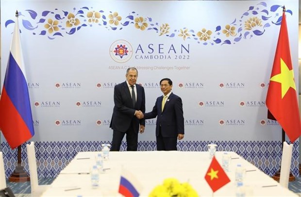 Nga mong muon Viet Nam tiep tuc la cau noi voi cac nuoc ASEAN hinh anh 1