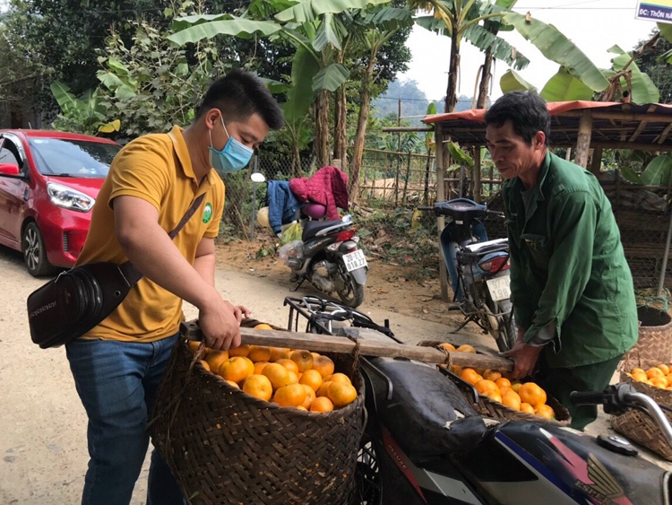 Cam quýt Bắc Kạn “lên sàn”