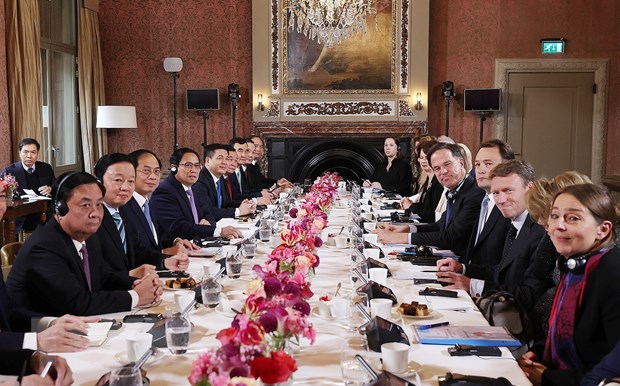 EVFTA la dong luc quan trong thuc day quan he kinh te Ha Lan-Viet Nam hinh anh 1