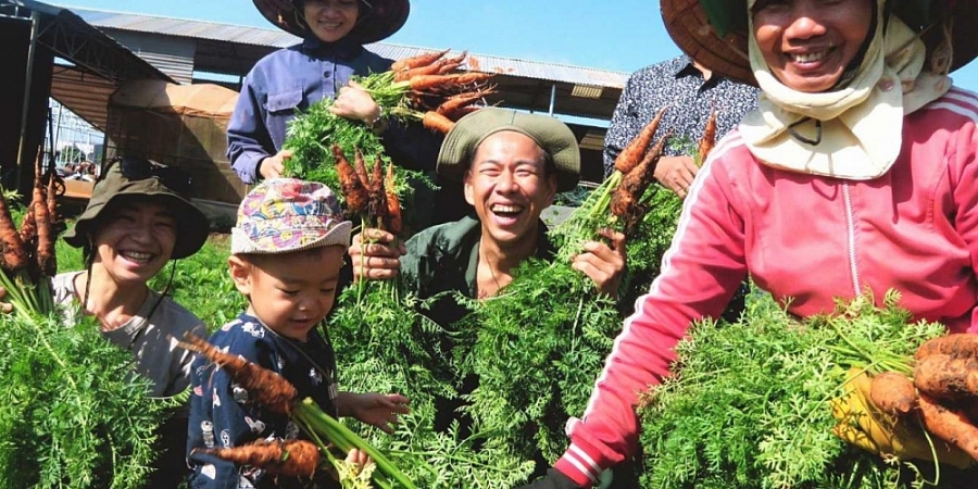 Tăng cường tiếp cận pháp luật và tư pháp trong lĩnh vực bảo vệ môi trường