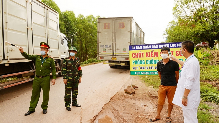 Huyện Lục Ngạn (Bắc Giang): Chủ động đầu ra cho quả vải thiều