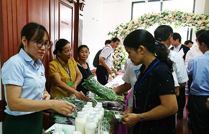 ha noi day manh lien ket tieu thu nong san rau an toan cho nong dan