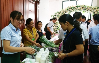 Hà Nội đẩy mạnh liên kết tiêu thụ nông sản, rau an toàn cho nông dân