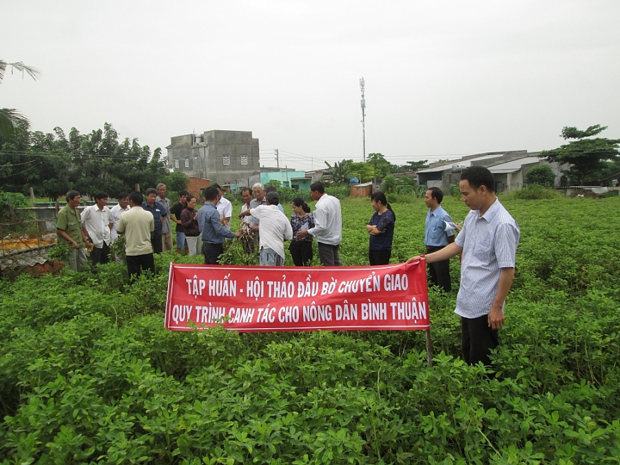 4831-anh-bai