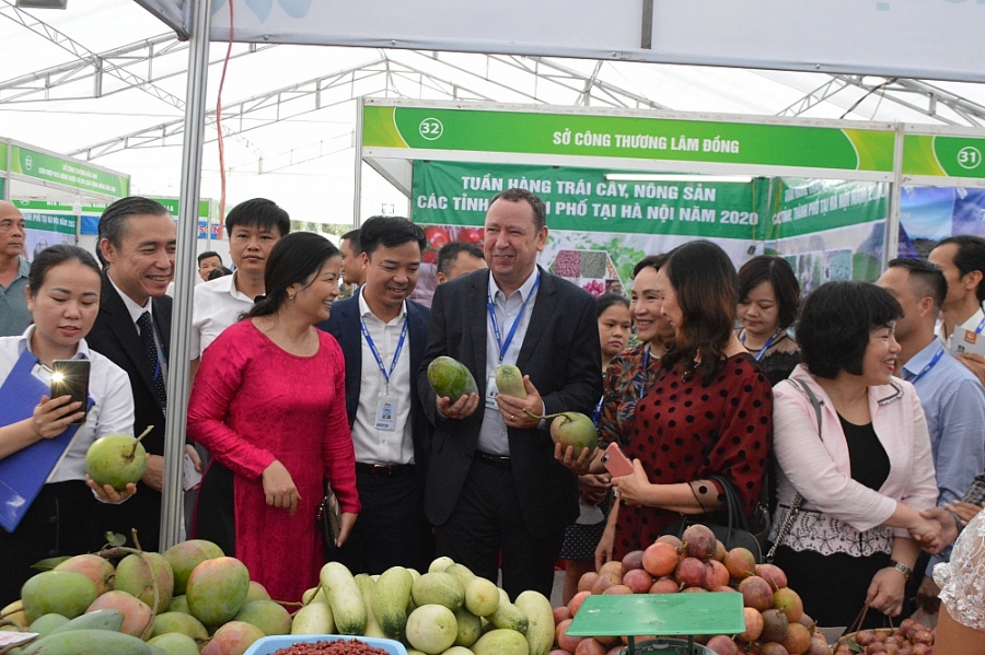 5718-anh-1-lanh-yyo-tp-tham-quan-gian-hang-tyi-tuyn-hang-trai-cay-nong-syn-cac-tynh-tp-tyi-ha-nyi-nym-2020-ty-chyc-tyi-mm-mega-market-ha-yong