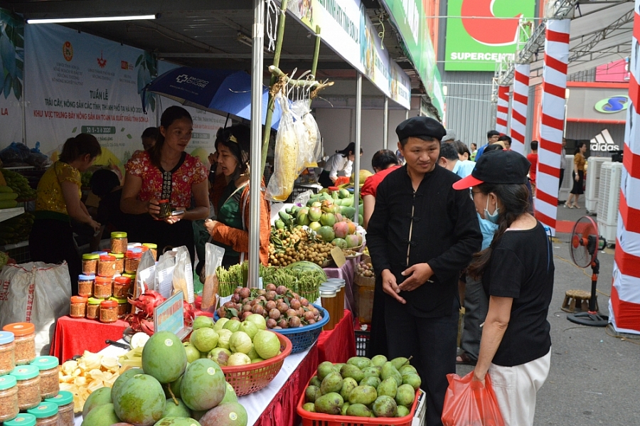 5719-anh-2-tuyn-hang-trai-cay-nong-syn-cac-tynh-tp-tyi-ha-nyi-nym-2020-ty-chyc-tyi-big-c-thyng-long-thuhut-yong-yyo-ngyyi-tieu-dung-thy-yo-yyn-tham-quan-va-mua-syn-phym