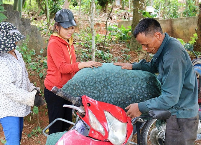 tim thi truong cho tram den xu lang