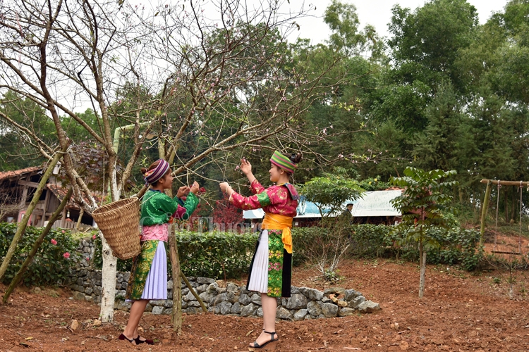 don tet vui xuan tai ngoi nha chung