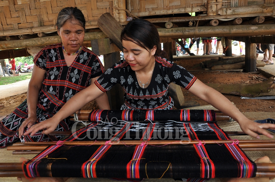 sac xuan tren moi mien to quoc nam 2019