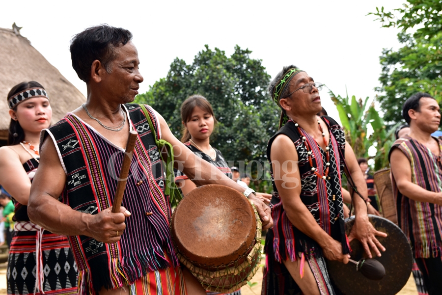 sac xuan tren moi mien to quoc nam 2019