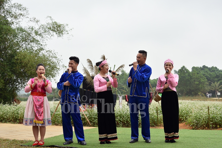 sac xuan them xuan cung hoa tam giac mach
