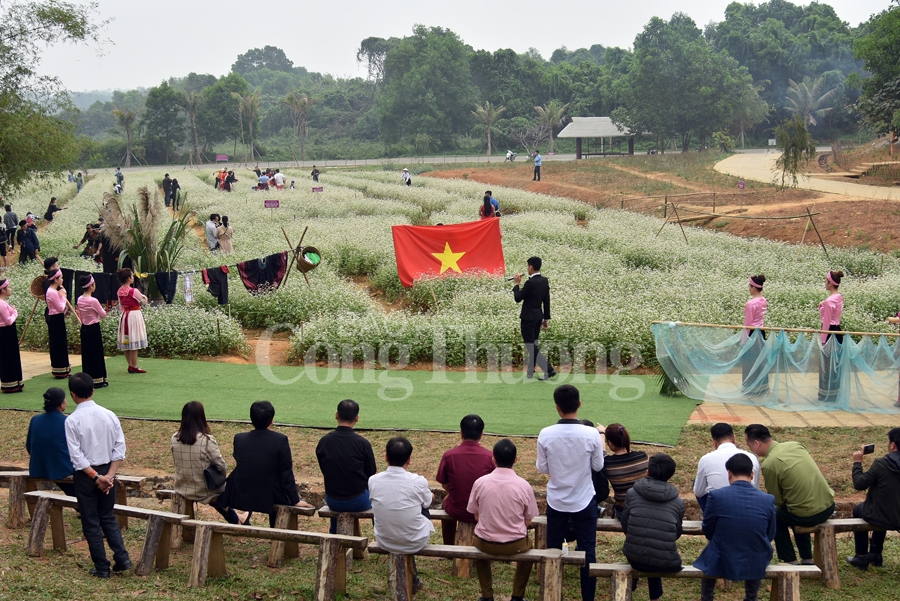 Sắc xuân thêm xuân cùng hoa tam giác mạch sac xuan them xuan cung hoa tam giac mach