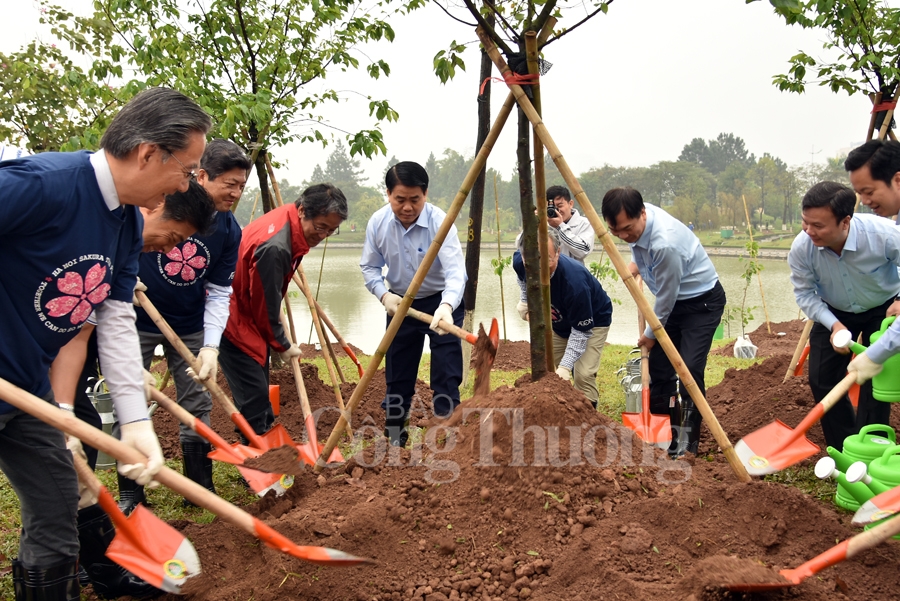 cong vien hoa binh co them 1000 cay hoa anh dao