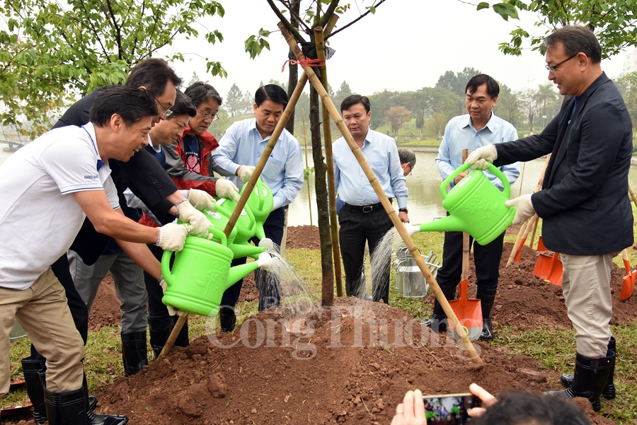 cong vien hoa binh co them 1000 cay hoa anh dao