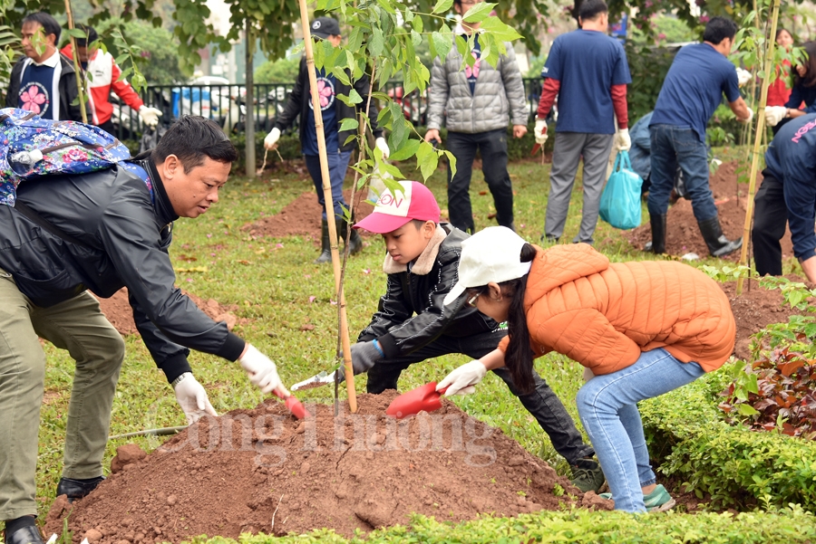 cong vien hoa binh co them 1000 cay hoa anh dao