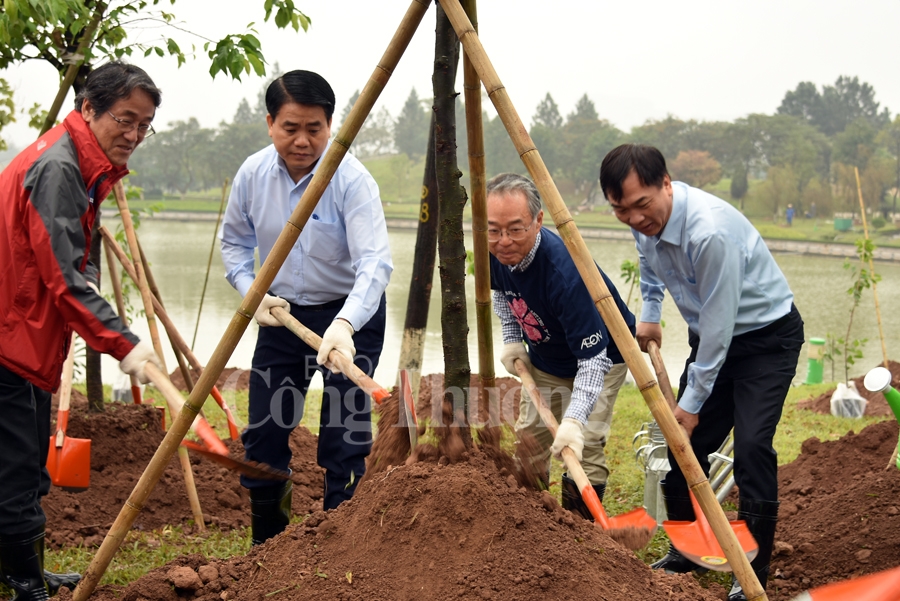 cong vien hoa binh co them 1000 cay hoa anh dao