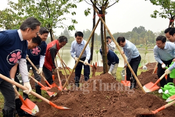 Công viên Hòa Bình có thêm 1.000 cây hoa Anh đào