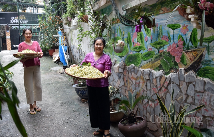 xao xuyen tra uop hoa buoi ha thanh