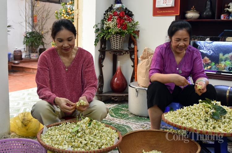 xao xuyen tra uop hoa buoi ha thanh