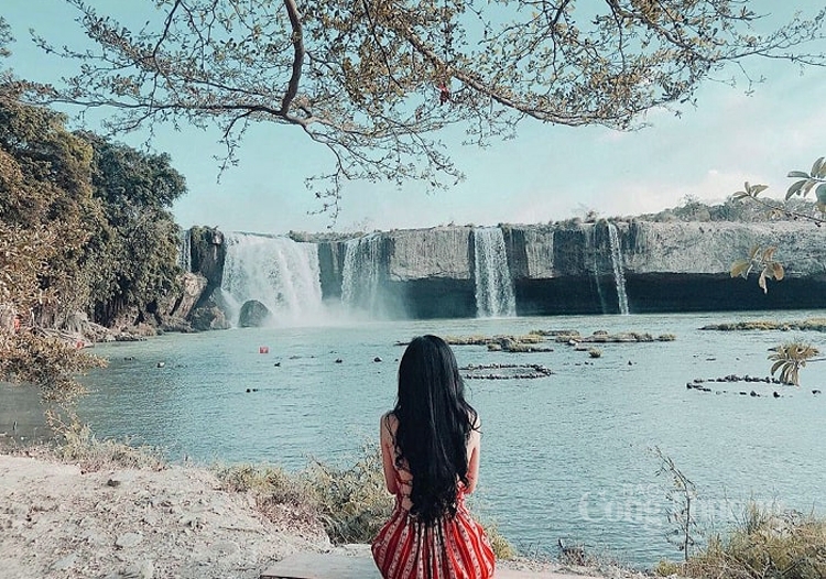 Trung Nguyên Healing triển khai những tour du lịch đầy năng lượng