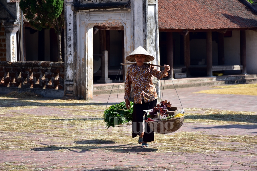 lang co duong lam diem du lich hap dan