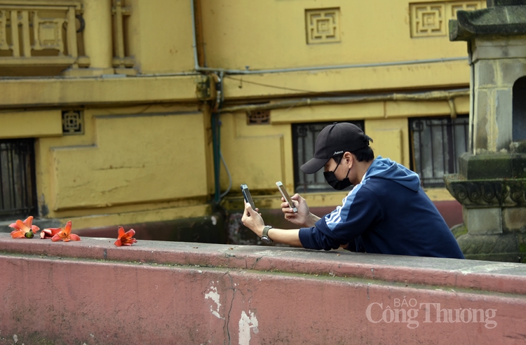 hoa gao thap lua ruc ro giua thu do ha noi