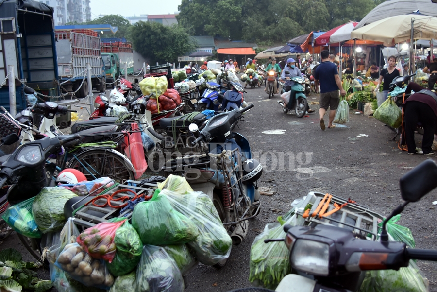 nhon nhip cho dau moi phia nam ha noi