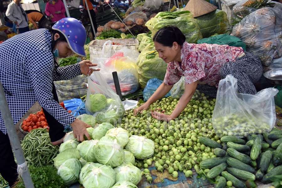 nhon nhip cho dau moi phia nam ha noi