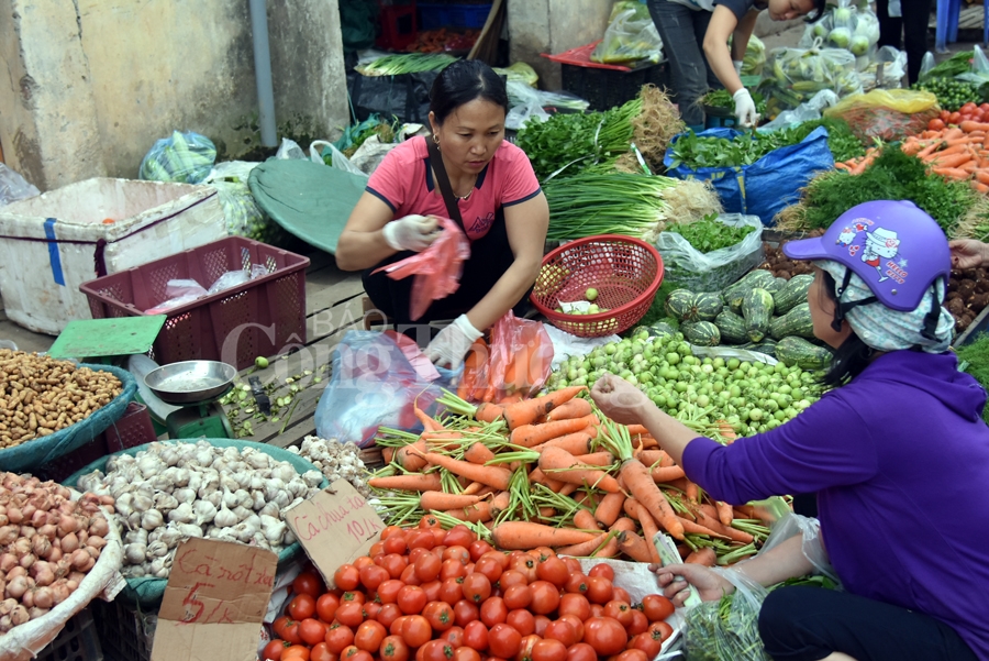 nhon nhip cho dau moi phia nam ha noi