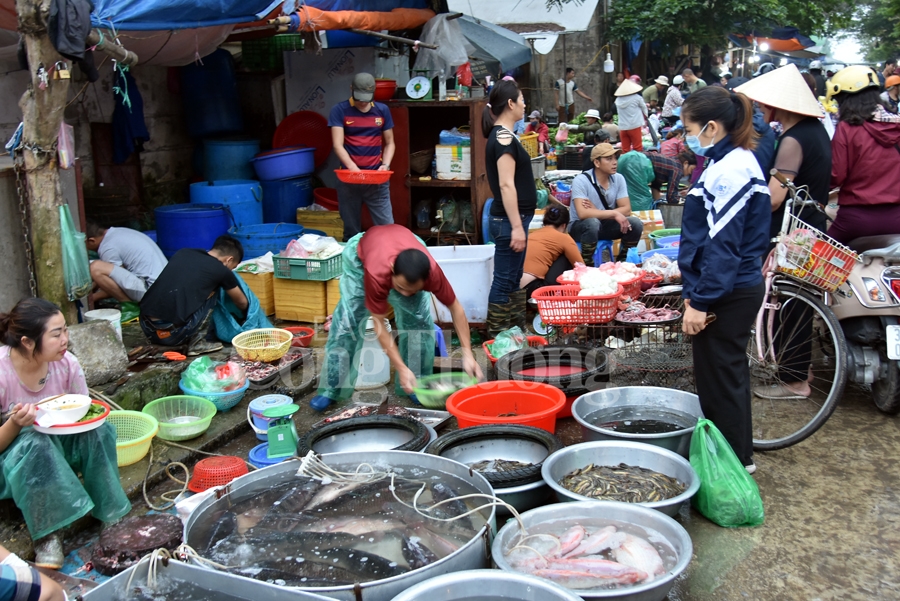 nhon nhip cho dau moi phia nam ha noi