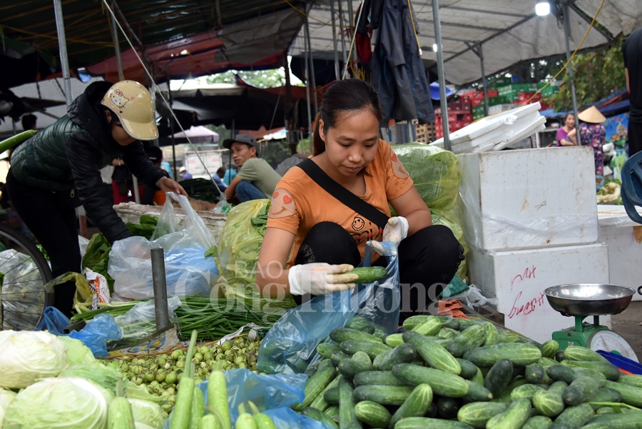 nhon nhip cho dau moi phia nam ha noi