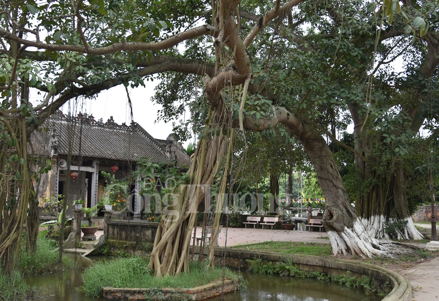 Làng Nôm, đậm chất làng quê Bắc Bộ lang nom dam chat lang que bac bo