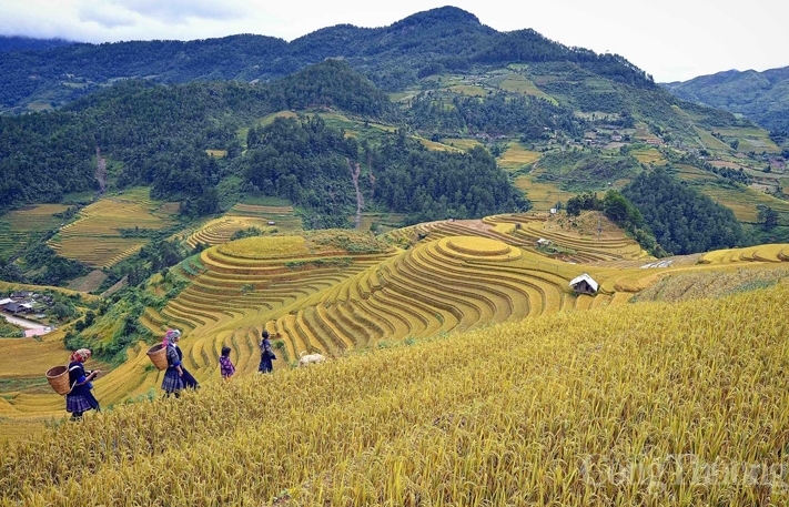 Đắm say cảnh sắc vùng cao phía Bắc