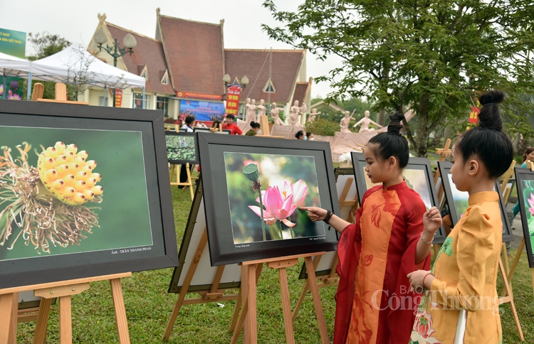 Tôn vinh “Sen trong đời sống văn hóa Việt