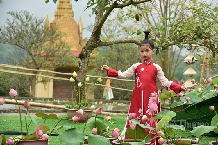 Tôn vinh “Sen trong đời sống văn hóa Việt